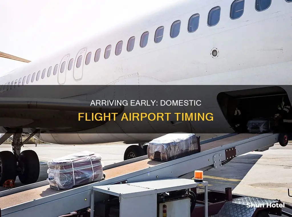 what time arrive airport domestic flight