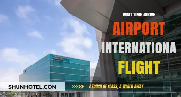 International Flight Travel: Optimal Airport Arrival Time Guide
