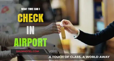 Airport Check-In: What Time is Best?