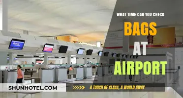 Checking Bags: What Time Should You Arrive at the Airport?