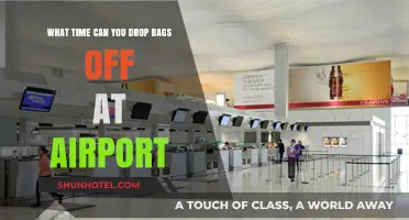 Airport Bag Drop: When Can You Check In?