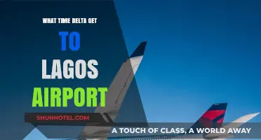 How Long Does It Take to Reach Lagos Airport from Delta?