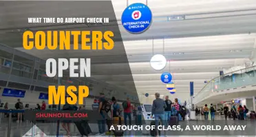 MSP Airport Check-In Counter Opening Times: Your Ultimate Guide