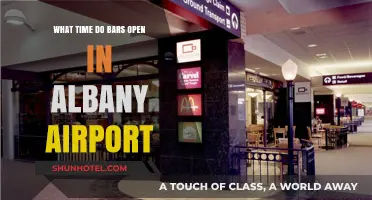 Albany Airport Bars: Opening Hours and Travel Tips for Visitors