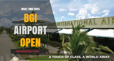 BGI Airport Opening Hours: When Does Grantley Adams Open?