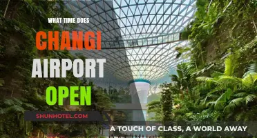Changi Airport Opening Hours: Your Complete Guide to Terminal Access