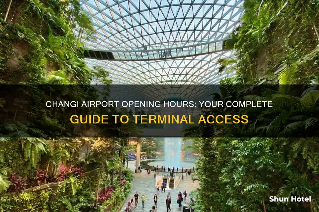 what time does changi airport open