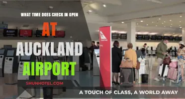 Auckland Airport Check-In Times: When Does It Open?