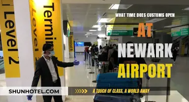 Newark Airport Customs Opening Hours: Your Essential Travel Guide