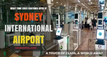 Sydney Airport Customs Hours: When Does Customs Open?