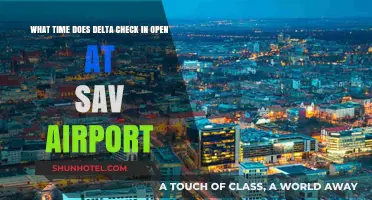 Delta Check-In Opening Hours at SAV Airport: Your Complete Guide