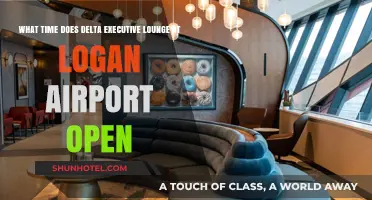 Delta Executive Lounge at Logan Airport: Opening Hours Revealed