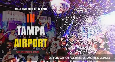 Delta Tampa Airport Opening Hours: When Does the Counter Open?