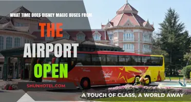 Disney Magic Bus Schedule: Airport to Park Opening Hours