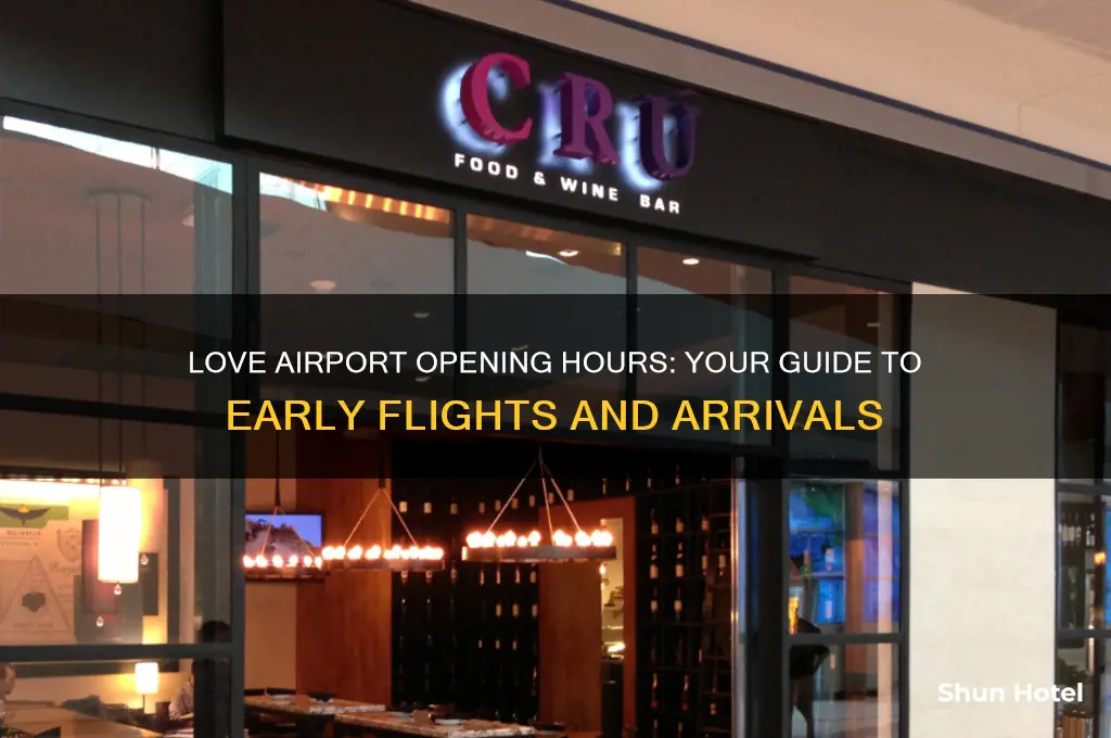 what time does love airport open