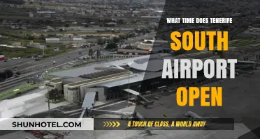 Tenerife South Airport Opening Hours: Your Essential Travel Guide