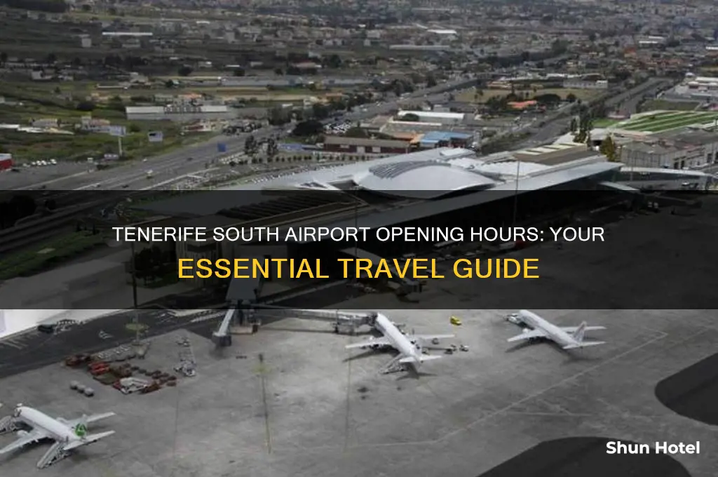 what time does tenerife south airport open