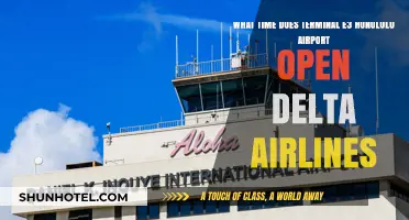 Honolulu Airport Terminal E3 Delta Airlines Opening Hours Guide