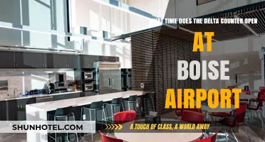 Delta Counter Opening Hours at Boise Airport: Your Quick Guide