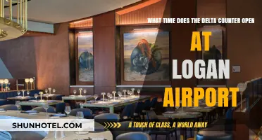 Delta Counter Opening Hours at Logan Airport: Your Quick Guide