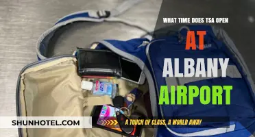 Albany Airport TSA Hours: When Does Security Screening Begin?