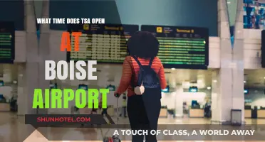 Boise Airport TSA Hours: When Does Security Screening Begin?