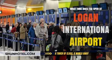 TSA Opening Hours at Logan International Airport: Your Quick Guide