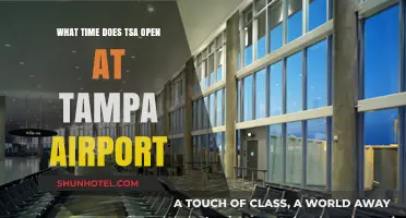Tampa Airport TSA Hours: When Does Security Screening Begin?