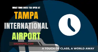 Tampa International Airport TSA Hours: When Does Security Open?