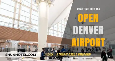 Denver Airport TSA Hours: When Does Security Screening Begin?