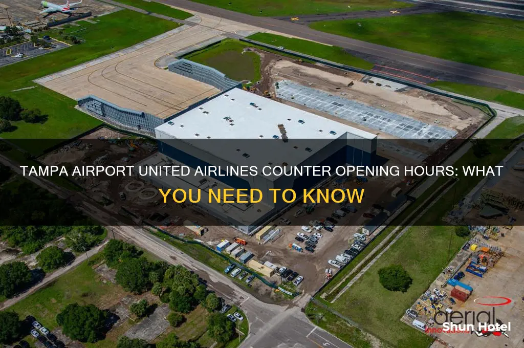 what time does united airlines counter open in tampa airport
