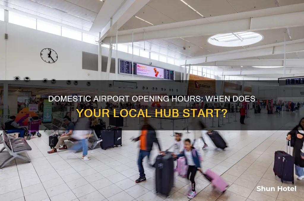 what time domestic airport open