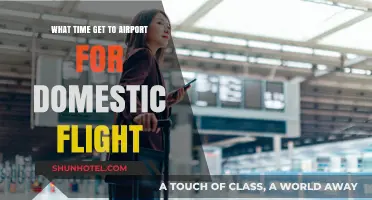 Domestic Flight Travel: Optimal Airport Arrival Time Tips and Tricks