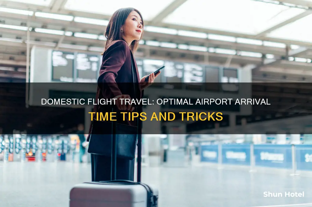 what time get to airport for domestic flight