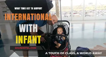 Traveling Internationally with an Infant: Optimal Airport Arrival Time Tips