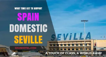 Seville Domestic Flights: Optimal Airport Arrival Time Tips for Spain