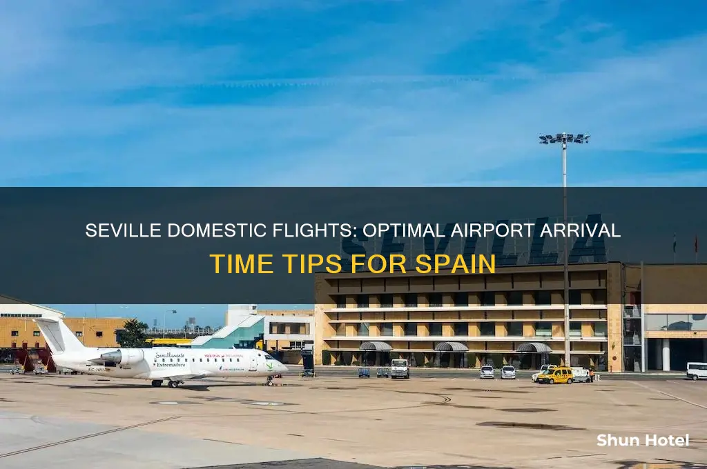 what time get to airport spain domestic seville