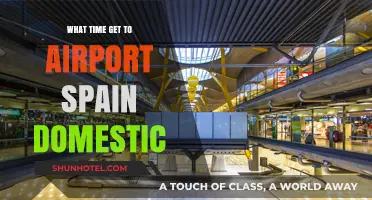 Spain Domestic Flights: Optimal Airport Arrival Times for Stress-Free Travel