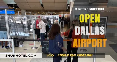 Dallas Airport Immigration Hours: When Does It Open for Travelers?