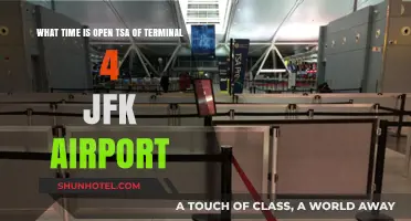 TSA Opening Hours at JFK Airport Terminal 4: Your Quick Guide