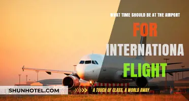 Perfect Timing: When to Arrive for Your International Flight