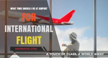 Perfect Timing: When to Arrive for Your International Flight