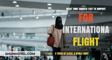 Perfect Timing: When to Arrive for Your International Flight