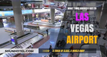 Best Time to Arrive at Las Vegas Airport for Stress-Free Travel