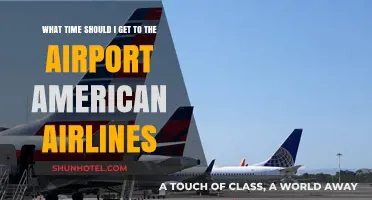 American Airlines Airport Arrival Guide: Optimal Timing for Stress-Free Travel