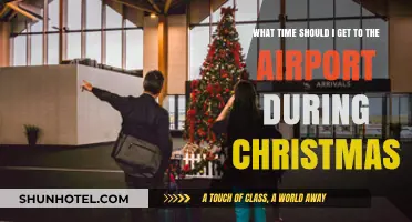 Holiday Travel Tips: Best Airport Arrival Times for Christmas Flights
