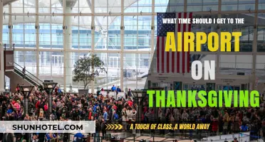 Thanksgiving Airport Arrival Guide: Best Time to Beat Holiday Crowds