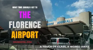 Best Time to Arrive at Florence Airport for Stress-Free Travel