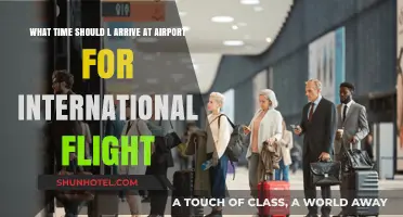 Best Arrival Time for Stress-Free International Flights: Expert Tips