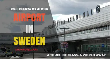 Perfect Timing: When to Arrive at Swedish Airports for Stress-Free Travel